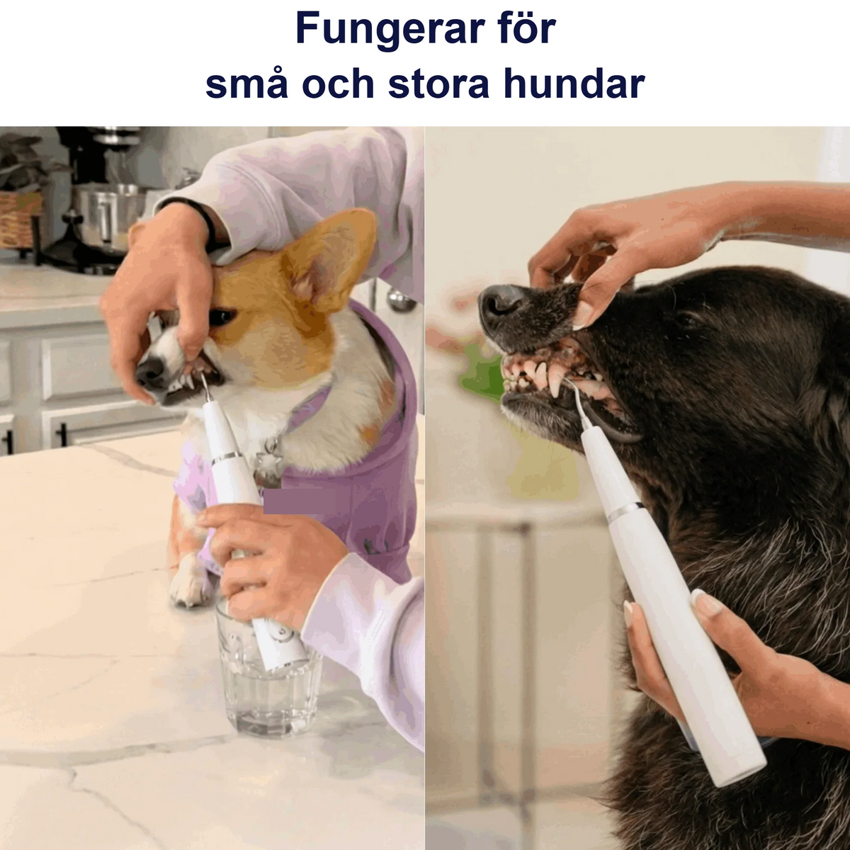 Fungerar för små och stora hundar