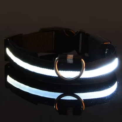 Justerbart LED-Halsband för Hund