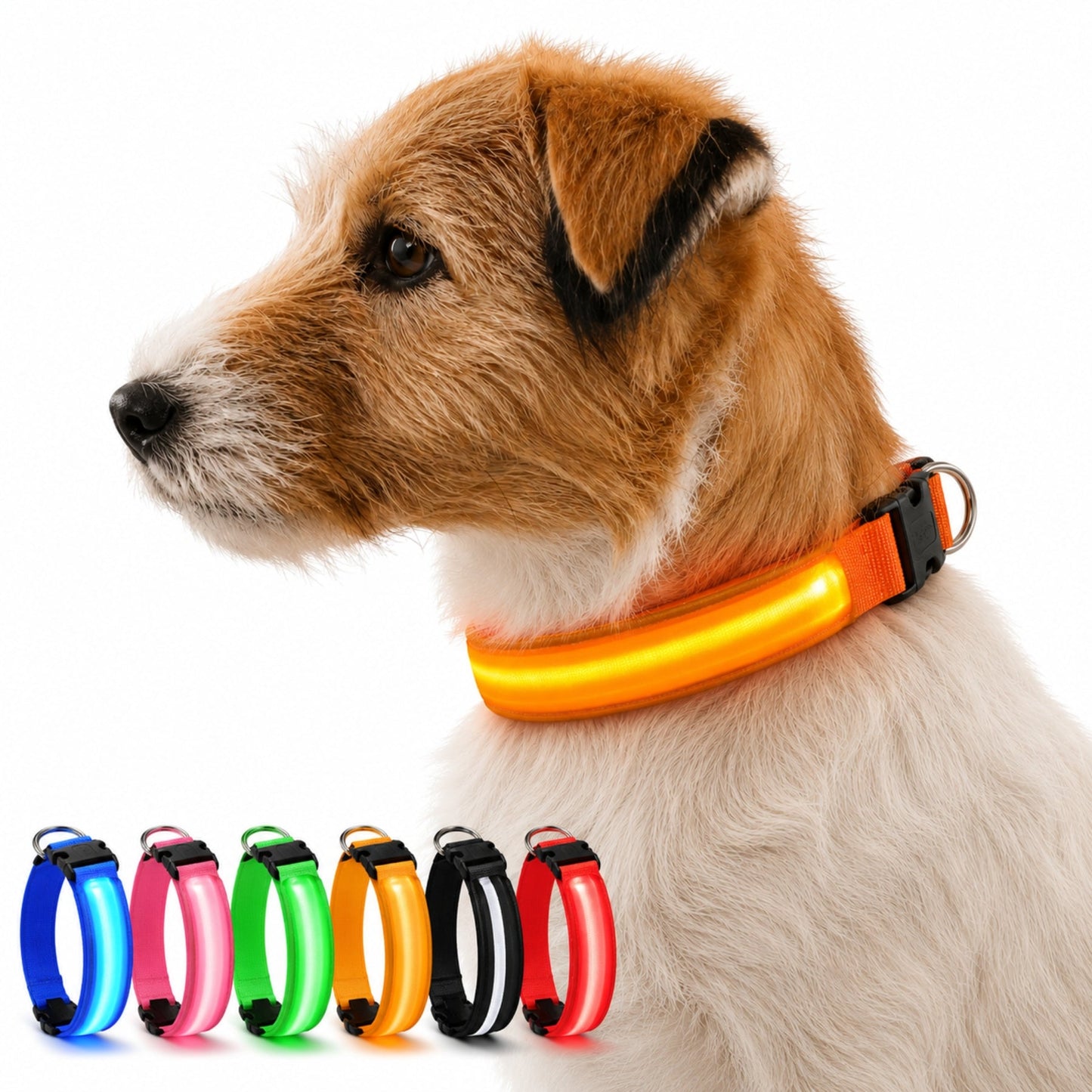 Justerbart LED-Halsband för Hund