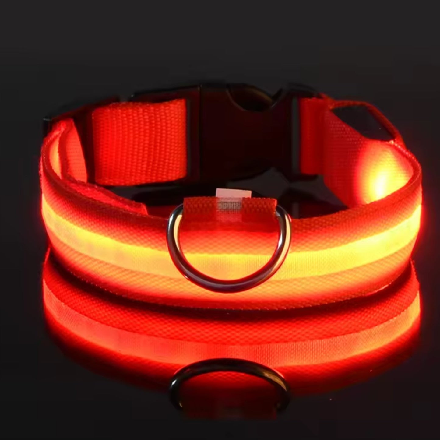 Justerbart LED-Halsband för Hund