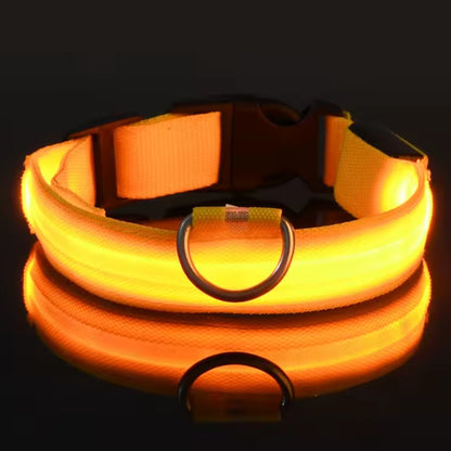 Justerbart LED-Halsband för Hund