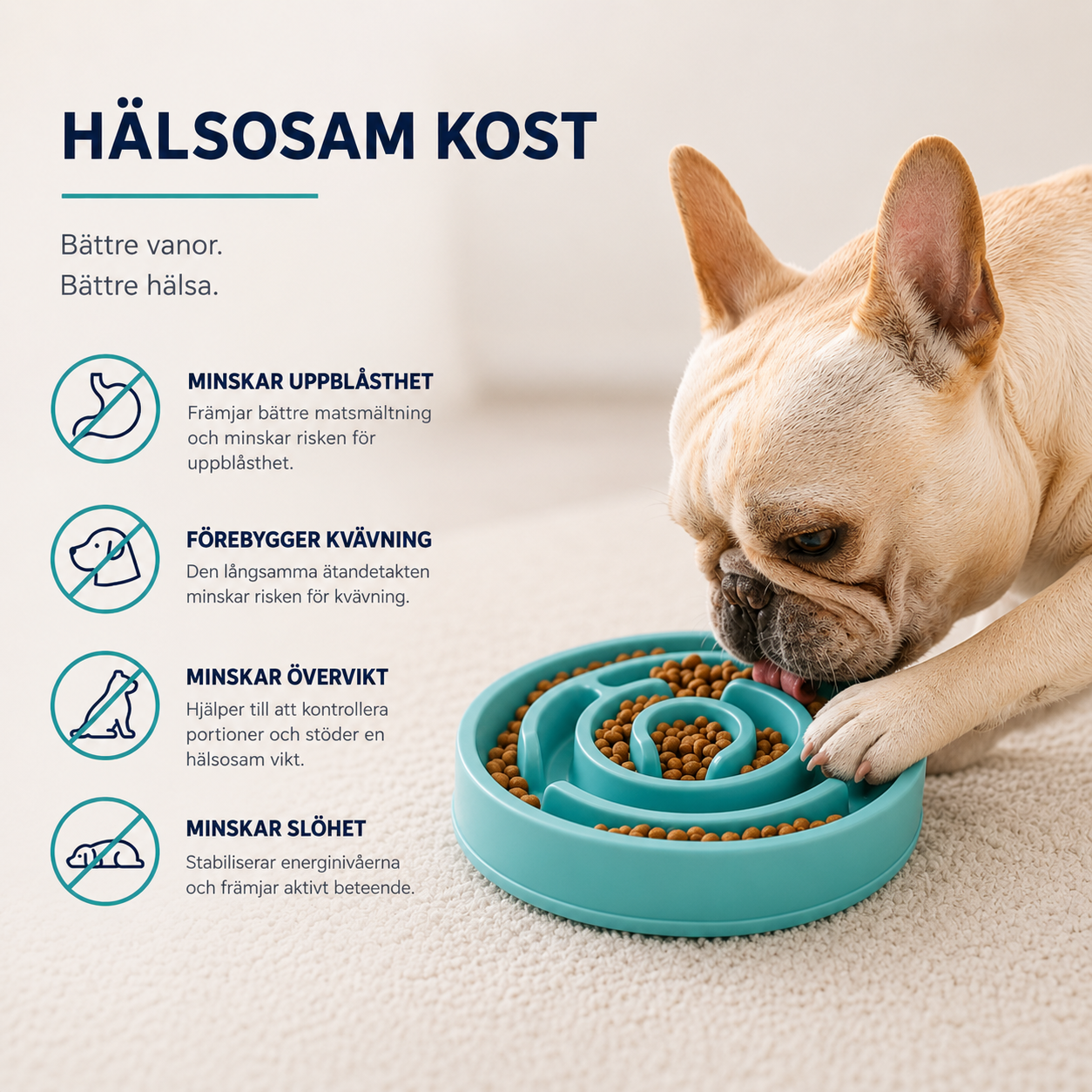 Slow Feeder Matskål för Hund & Katt