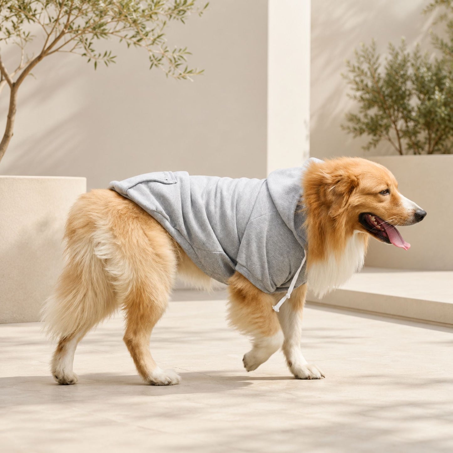 Hundhoodie med Dragkedjeficka