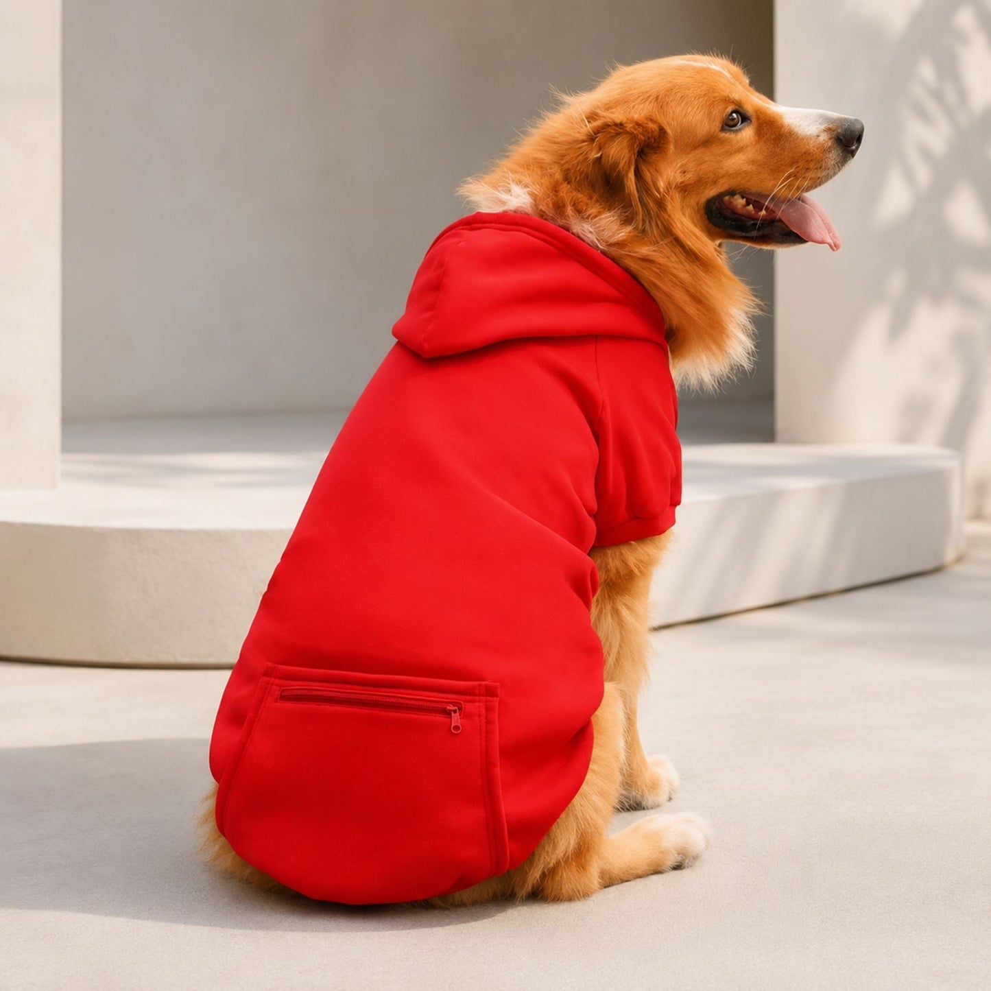 Hundhoodie med Dragkedjeficka