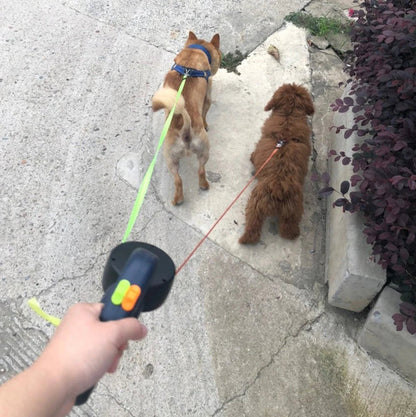 Dubbelkoppel för Hund med LED-Ljus