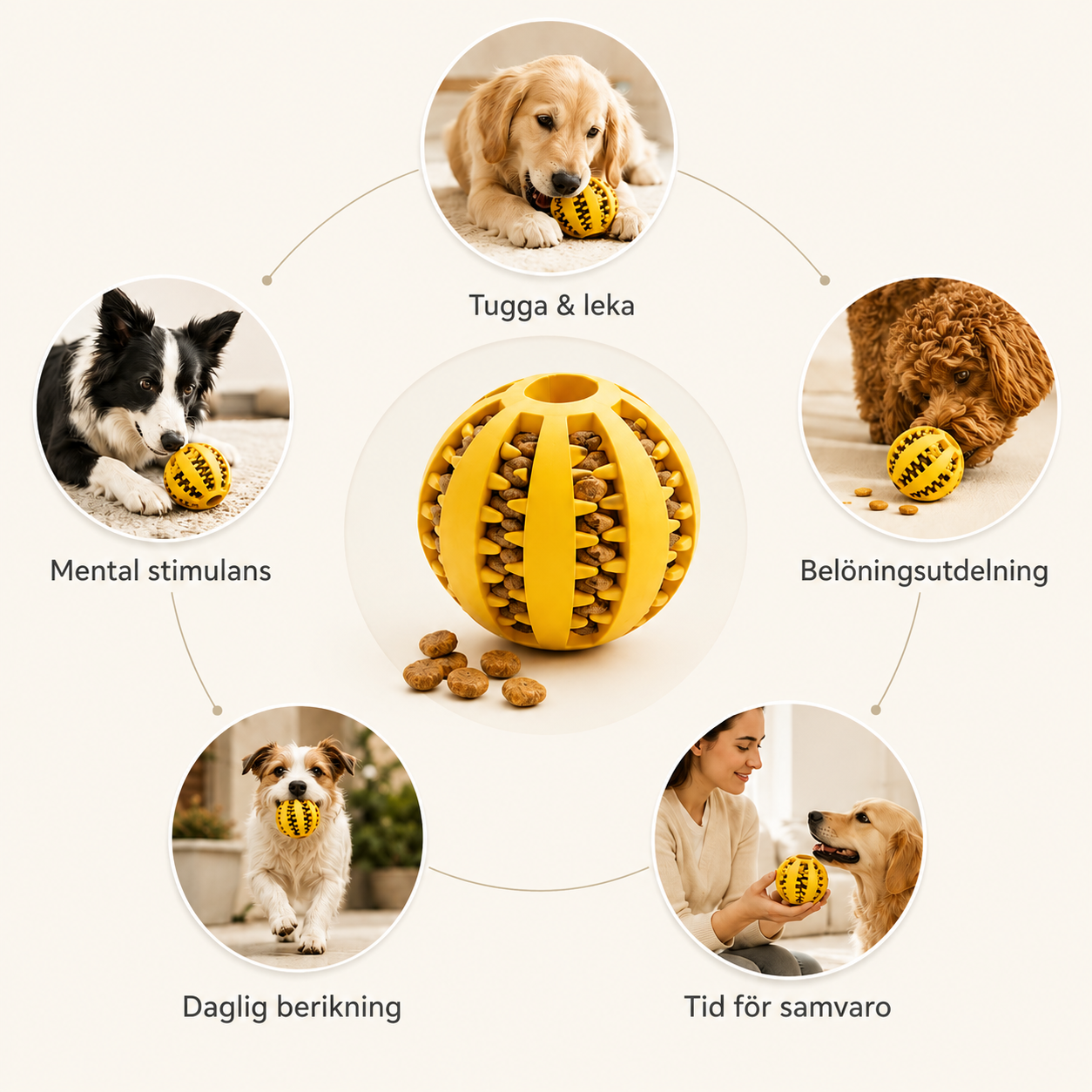 Aktiveringsboll för Hund med Godisdispenser