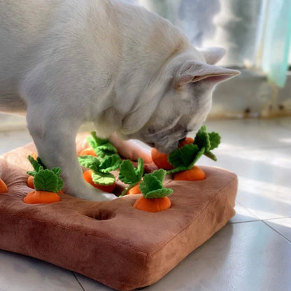 Snuffelmatta med Morotsleksak för Husdjur