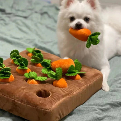 Snuffelmatta med Morotsleksak för Husdjur