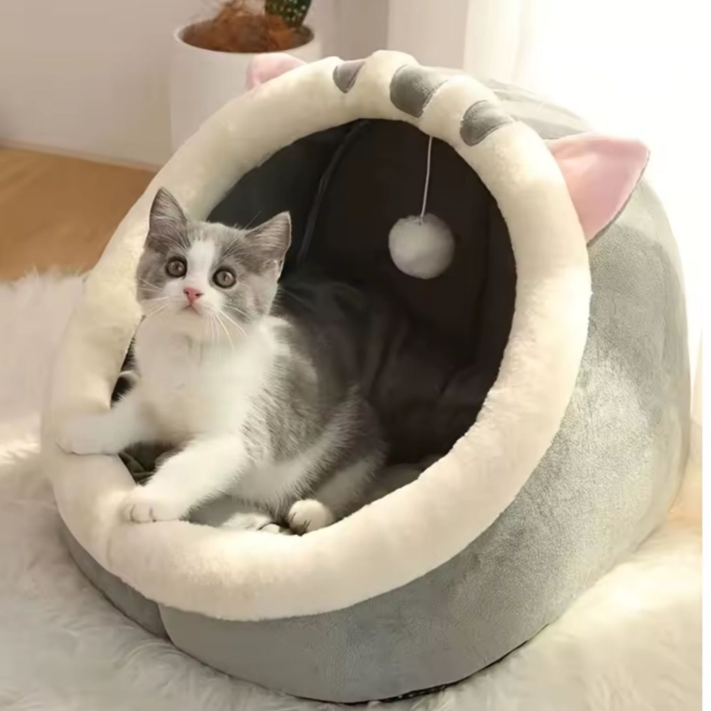 Kattgrotta i Plysch med Hängande Leksak