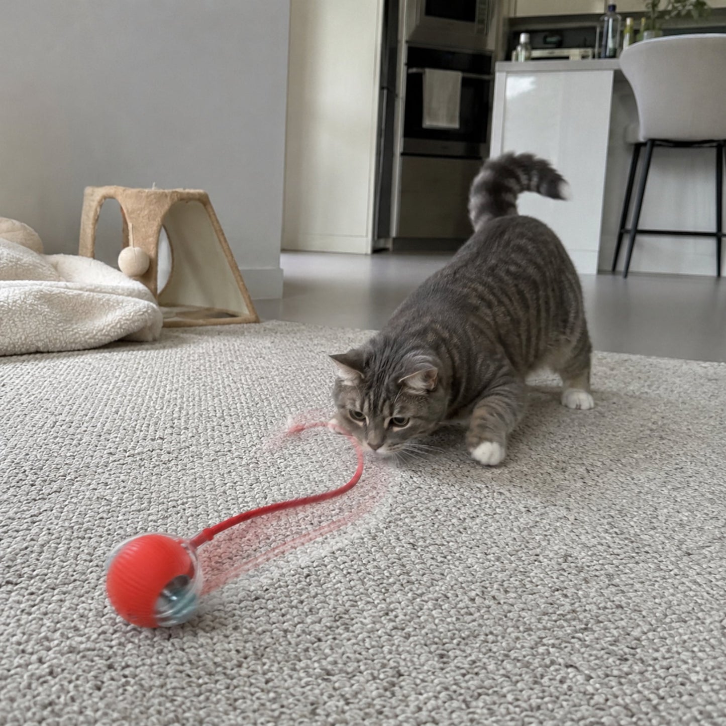 Smart Rullande Boll för Hund & Katt