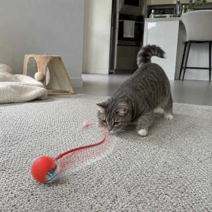 Smart Rullande Boll för Hund & Katt