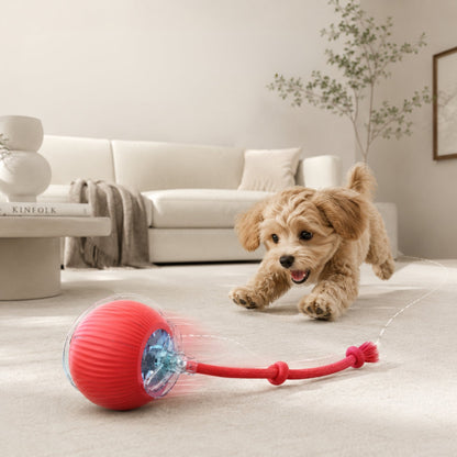 Smart Rullande Boll för Hund & Katt