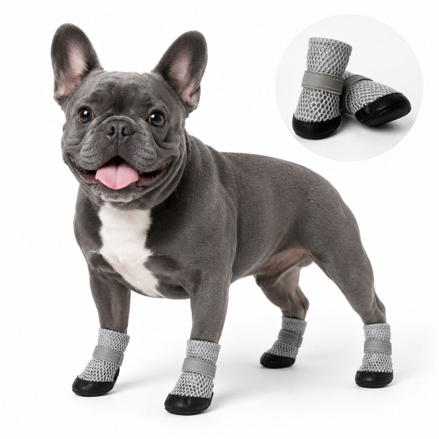 Reflekterande Hundskor, 4-Pack