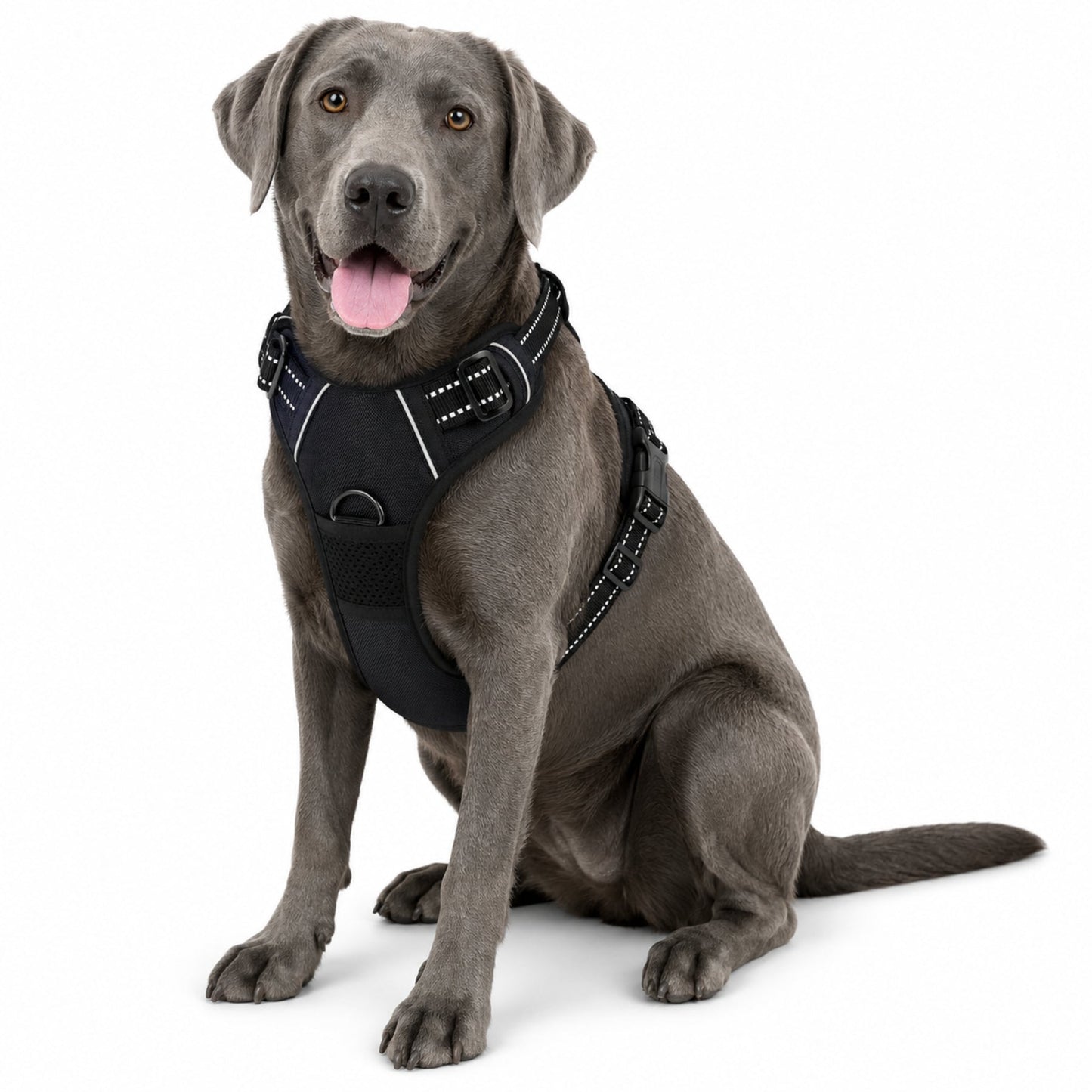 Anti-Drag Hundsele med Frontfäste