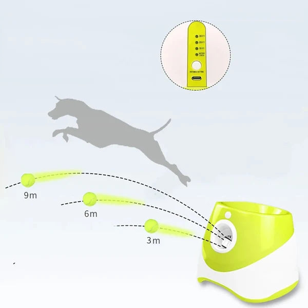 Automatisk Bollkastare för Hund