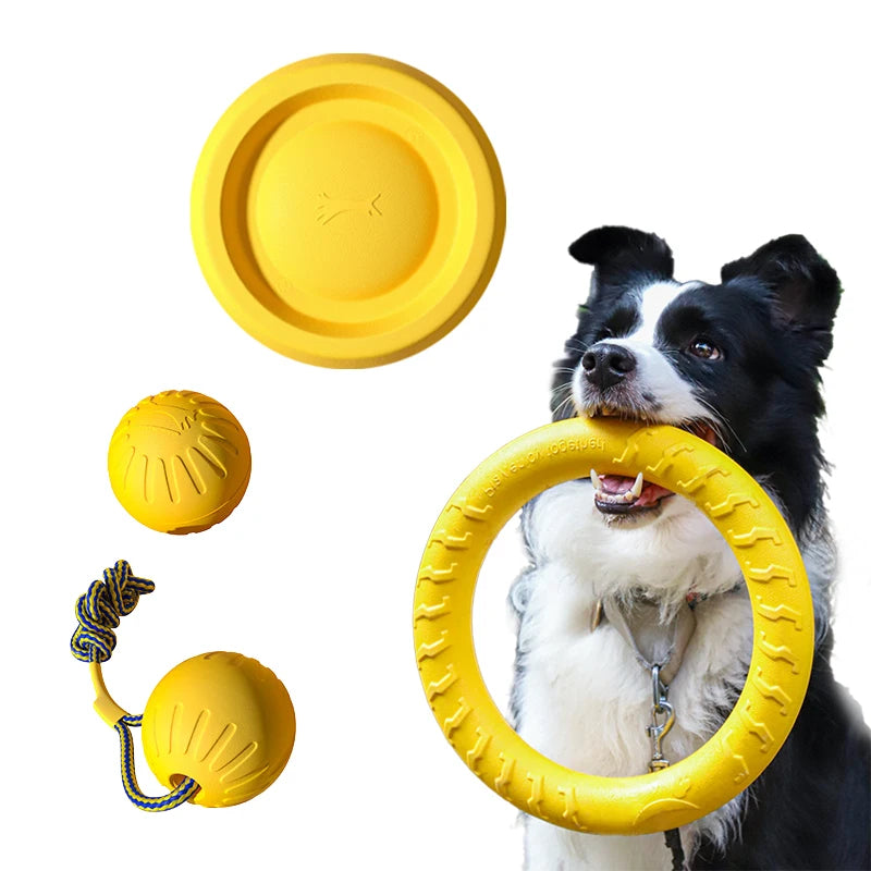 EVA Hundleksaker 4-Pack