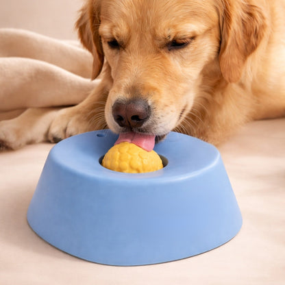 Slow Feeder Slickskål för Hund & Katt