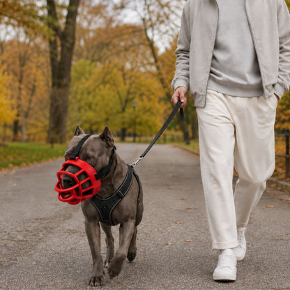Mjuk Silikonmunkorg för Hund