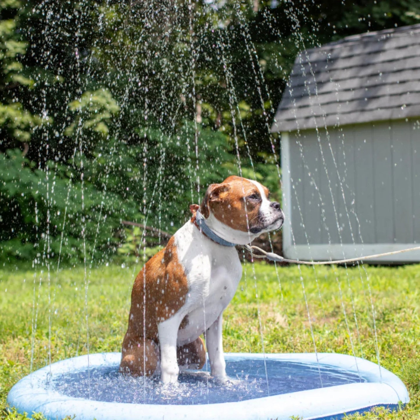 Splash Pad Vattenmatta för Hund