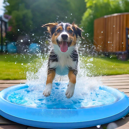 Splash Pad Vattenmatta för Hund