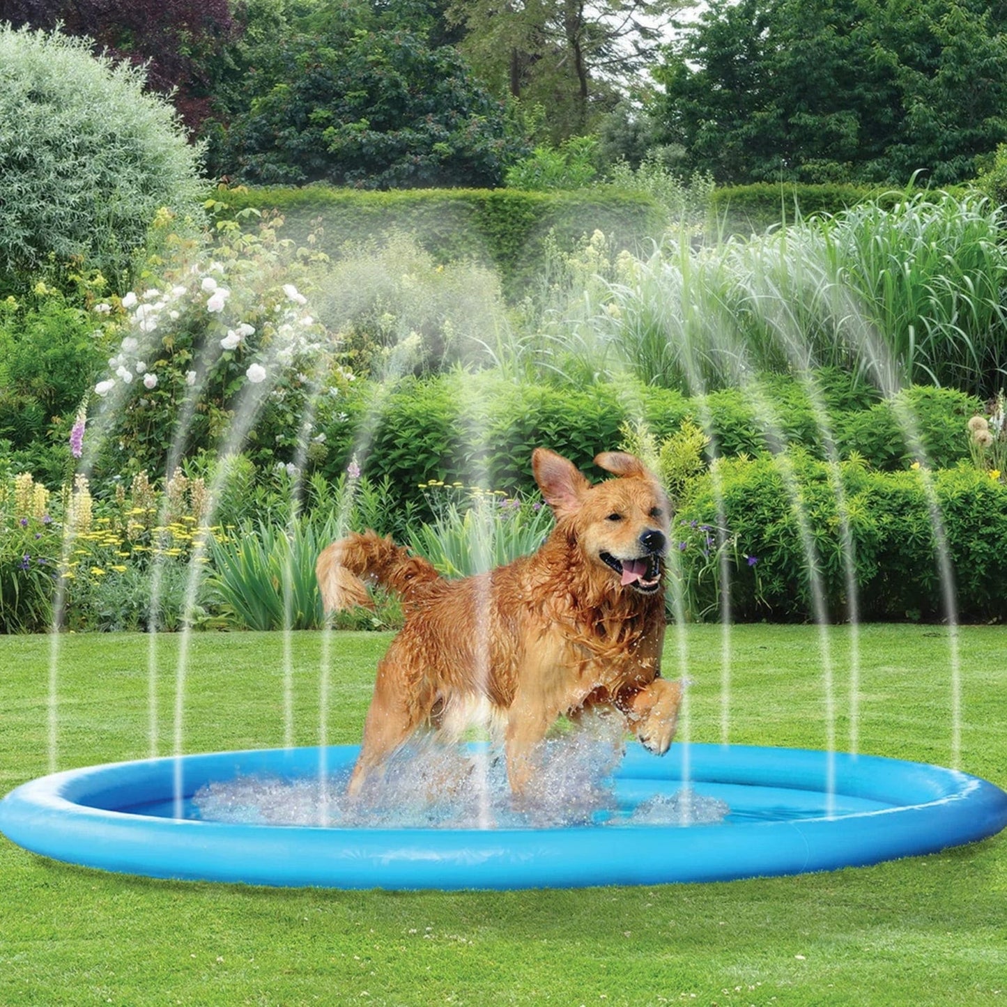 Splash Pad Vattenmatta för Hund