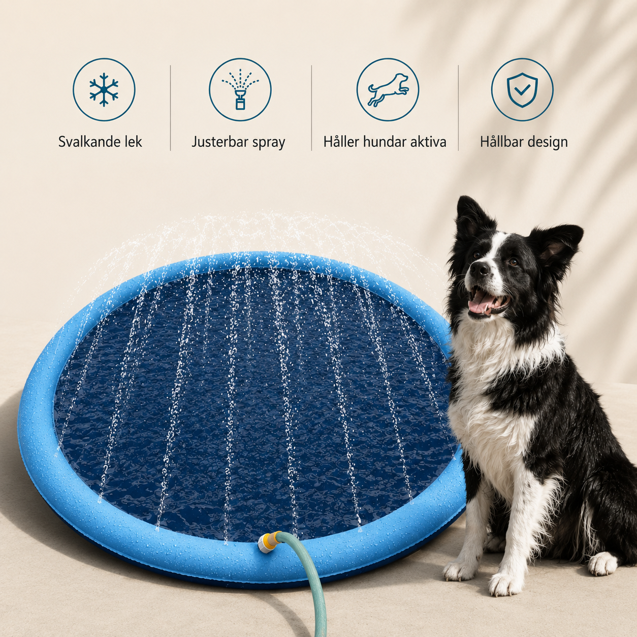 Splash Pad Vattenmatta för Hund