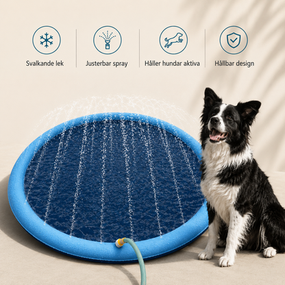 Splash Pad Vattenmatta för Hund