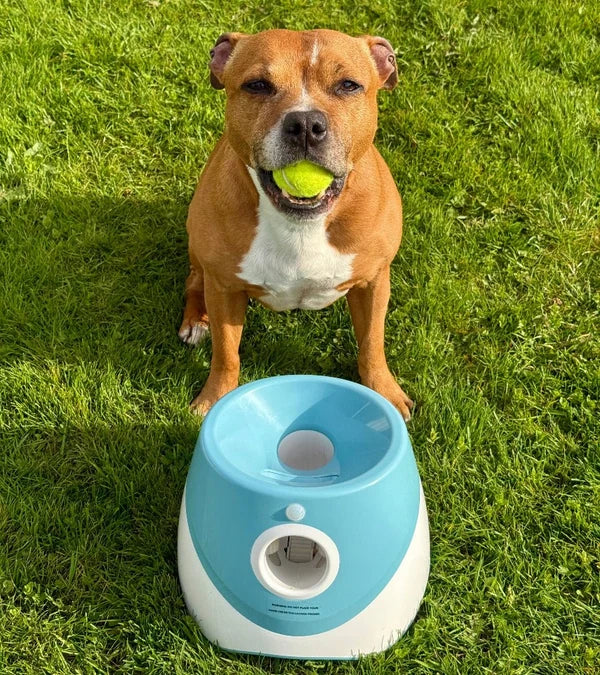 Automatisk Bollkastare för Hund