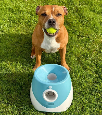 Automatisk Bollkastare för Hund