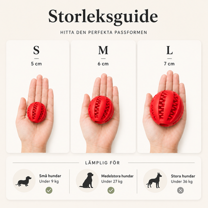 Aktiveringsboll för Hund med Godisdispenser