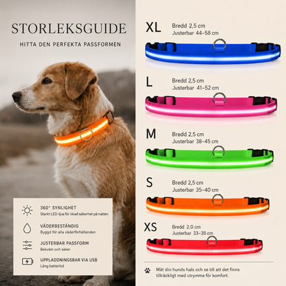 Justerbart LED-Halsband för Hund